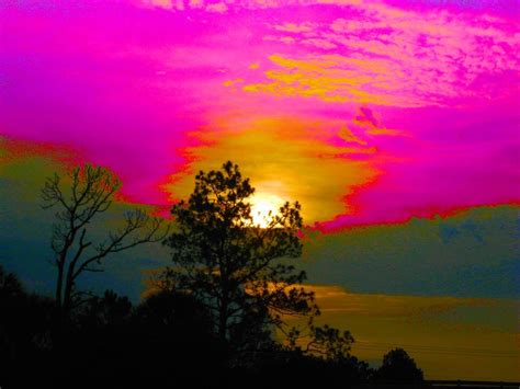 neon sunset photograph  judy  wolff