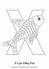 Fish Xray Ray Colouring Preschool Coloring Letter Alphabet Pages Crafts Kids Activity Drawing Words Activityvillage Sheets Explore Animal Kindergarten Book sketch template