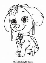 Patrol Coloring Pages Pup Paw Getcolorings Skye sketch template