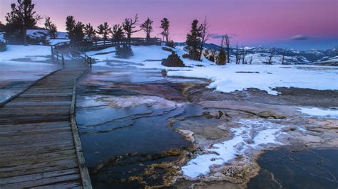 yellowstone national park exclusive deals local expertise jackson