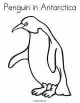 Penguin Antarctica Antartica Pinguin Adelie Emperor Penguins Twistynoodle Twisty sketch template