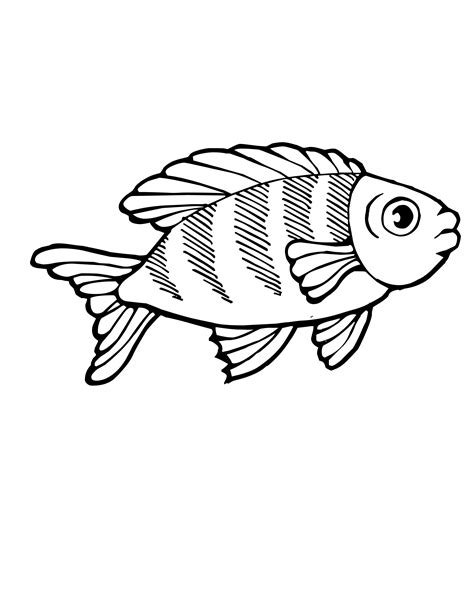 koi fish coloring page   koi fish coloring page png