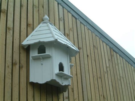 wall mounted dove cote grows