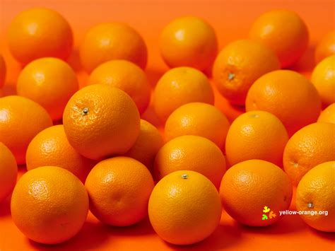 food orange wallpaper
