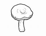Russula Mushroom Coloring Coloringcrew sketch template