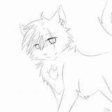 Coloring Warrior Cats Pages Cat Only Comments Coloringhome Popular sketch template