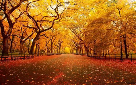 autumn autumn wallpaper  fanpop