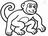 Monkey Coloring Animals Viewed Kb Size sketch template