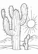 Kaktusy Kolorowanka Druku Saguaro Mycoloring Malowankę Wydrukuj sketch template