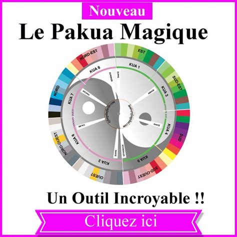 le pakua magique yi king esoteric directions pie chart energy