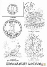 Virginia Coloring State Pages Symbols Printable Color Designlooter Bird Flower Flag 1440px 9kb 1020 Choose Board sketch template