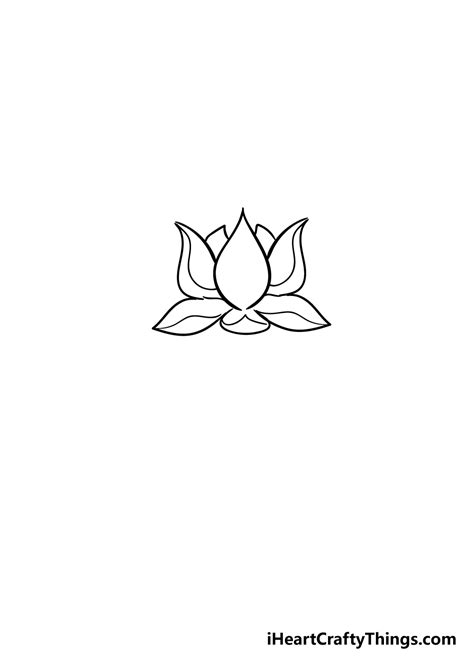 image result  lotus flower  drawing lotus flow vrogueco