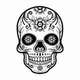Skull Vector Mexican Freepik Skulls sketch template