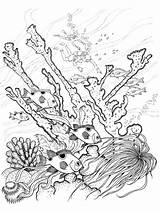 Underwater Drawing Pencil Realistic Coloring Pages Color Getdrawings sketch template