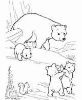 Bear Coloring Pages Family Printable Happily Playing sketch template