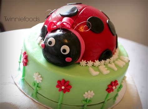 ladybug cake twinniefoods