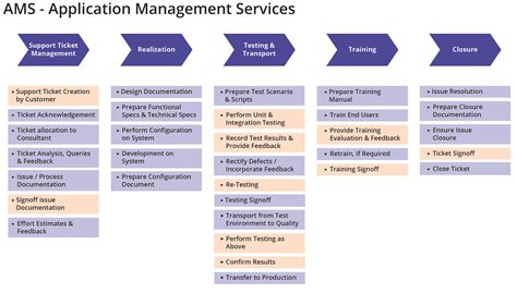 application management servicesams procti