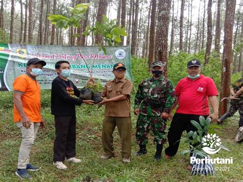 perhutani perhutani dprd wonogiri  forkopimcam jatipurno tanam