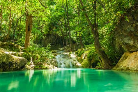 summer forest lake stream waterfall rocks trees greenery tropical jungle wallpapers hd