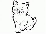 Outline Cat Coloring Cats Popular sketch template