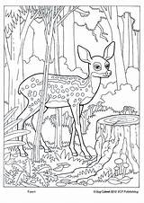 Coloring Pages Animal Animals Forest Deer Adult Sheets Fawn Kids Wildlife Printable Books Book Camouflage Drawing Woodland Print Wild Choose sketch template