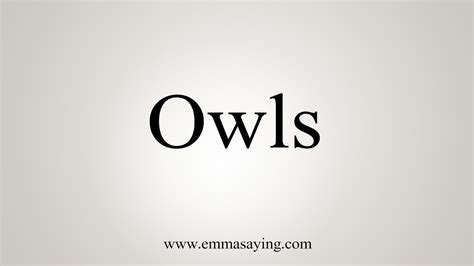 owls youtube