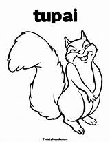 Coloring Squirrel Pages Tupai Kids sketch template