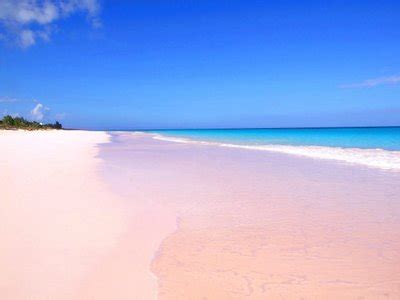 pink sands beach