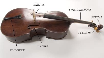 macquaries cello parts   cello