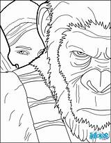 Apes Simios Planeta Imprimer Hellokids Cartoon Dibujo Coloriages sketch template