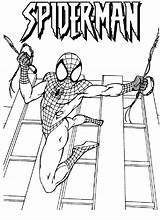 Spiderman Colorare Spider Coloriage Disegno Stampa Pianetabambini Coloratutto Bacheca sketch template