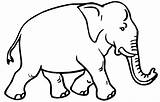 Elefante Pintar sketch template