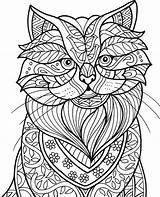 Coloring Cat Adult Book Pages Cats Freebie Color Colorit Premium Sure Print Make sketch template