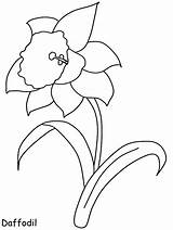 Daffodil Coloring Flower Pages Flowers Spring Printable Template Print Daffodils Kids Drawing Drawings Easy Clipart Cliparts Coloringpagebook Book Templates Daisy sketch template