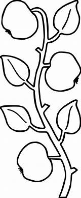 Coloring Ivy Apple Tree Wecoloringpage sketch template