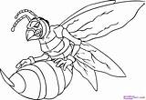 Wasp Hornets Hornet Coloringhome sketch template