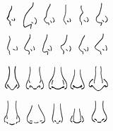 Nariz Noses Tutsplus Shape Diferentes Formas Existen sketch template