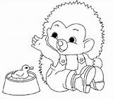 Hedgehog Hedgehogs Kleurplaten Egels sketch template