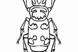 Beetle Coloring Pages Dung sketch template