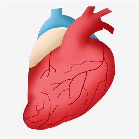gambar animasi jantung azka gambar