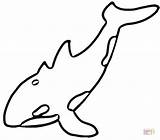 Whale Coloring Killer Orca Outline Pages Shamu Printable Clipart Animal Drawing Clipartix Drawings Categories sketch template