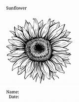 Realistic Inkt Getrokken Sublimation Tinten Freehand Wildflower Zwart Manages Minutes Mamasmusthaves Illustratie sketch template