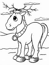 Coloring Pages Animal Realistic Animals Printable Donkey Kids Noel Tweet Choose Board Colouring sketch template