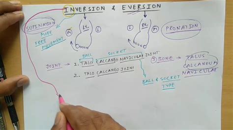 inversion  eversion  foot   clinical tcml  charsi