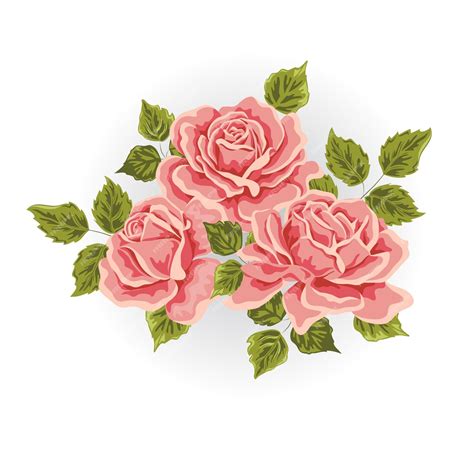 Premium Vector Pink Rose Flowers Clipart