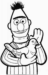 Pigeon Coloring Pages Sesame Bert Street Animated Pigeons Kids Color Coloringpages1001 sketch template