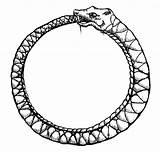 Ouroboros Uroboros Infinity Serpientes Lem Yin Uroboro Aventar Clipartmag Brave Genio sketch template