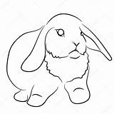 Lop Coloring Eared sketch template