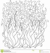 Getrokken Etnisch Krabbelstijl Bloemenkader Kleurende Sier sketch template