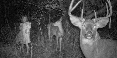 12 Creepy Trail Cam Photos You Have To See Slapped Ham